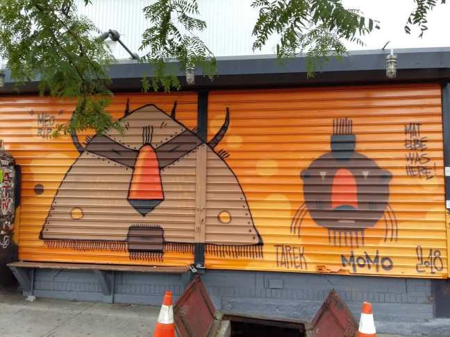 43503455_1906173516086778_8270867757796254976_n